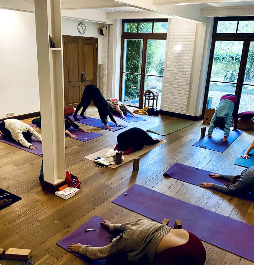 State of Yoga Uccle - Cours de groupe